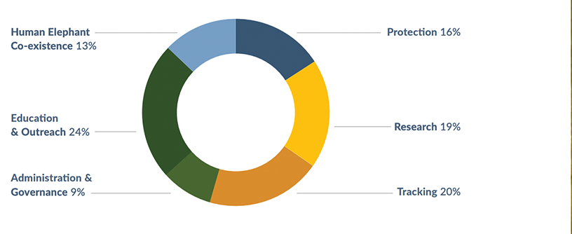 2020-finance-analysis-web 2020 Finance