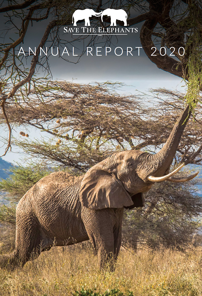 save the elephants, elephant, elephants are important, why elephants are important, STE, wildlife conservation, wildlife, elephant tusks, Samburu National Reserve, Kenya, annual reports, annual report, STE annual reports, STE annual report, report, funding, 2012